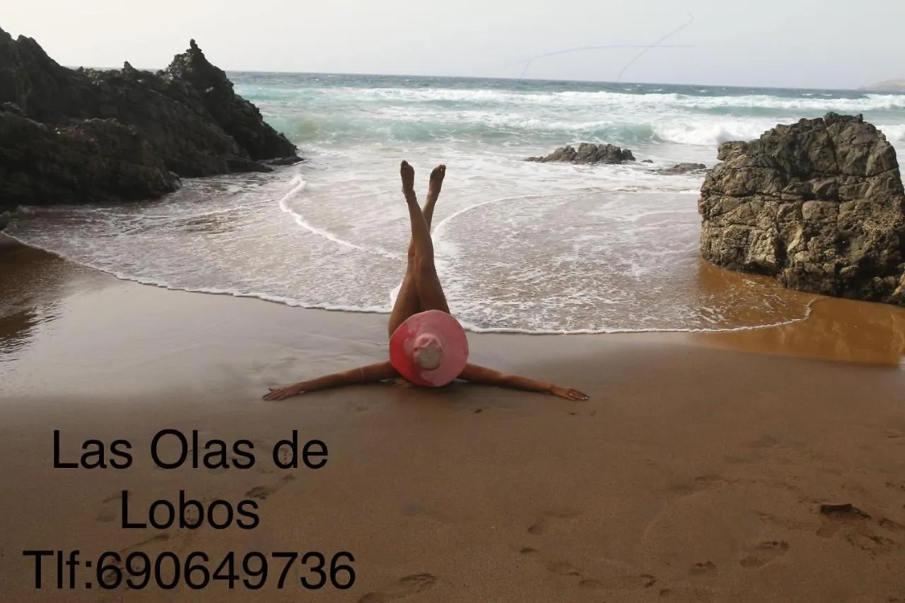 Olas De Lobos Corralejo